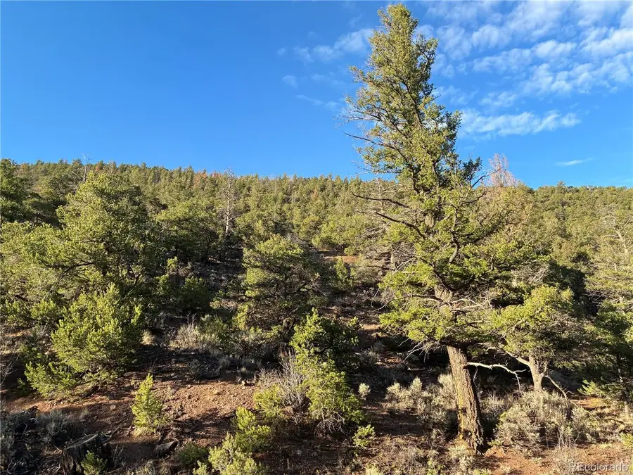 8 Adelaide Rd, San Luis, CO 81152 - #2