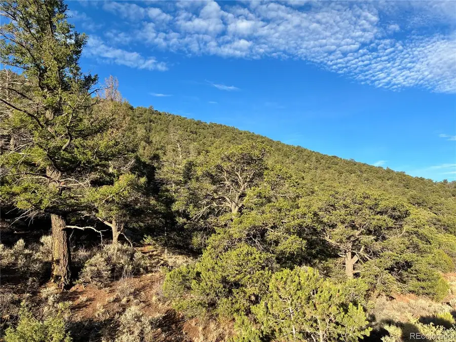 8 Adelaide Rd, San Luis, CO 81152 - #3