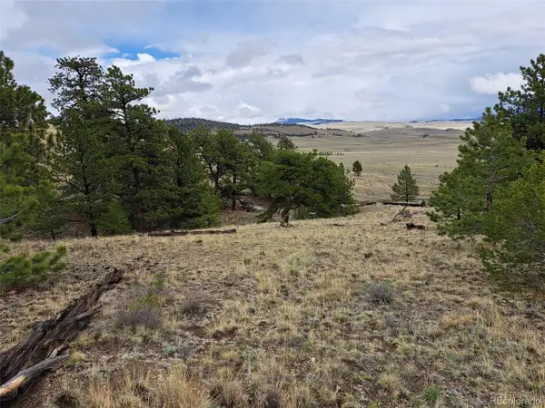 783 Remuda, Hartsel, CO 80449