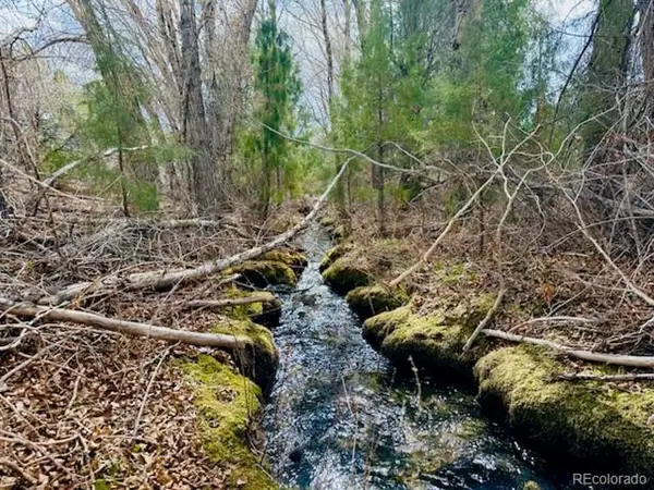 21 Hampton Run, Mosca, CO 81146