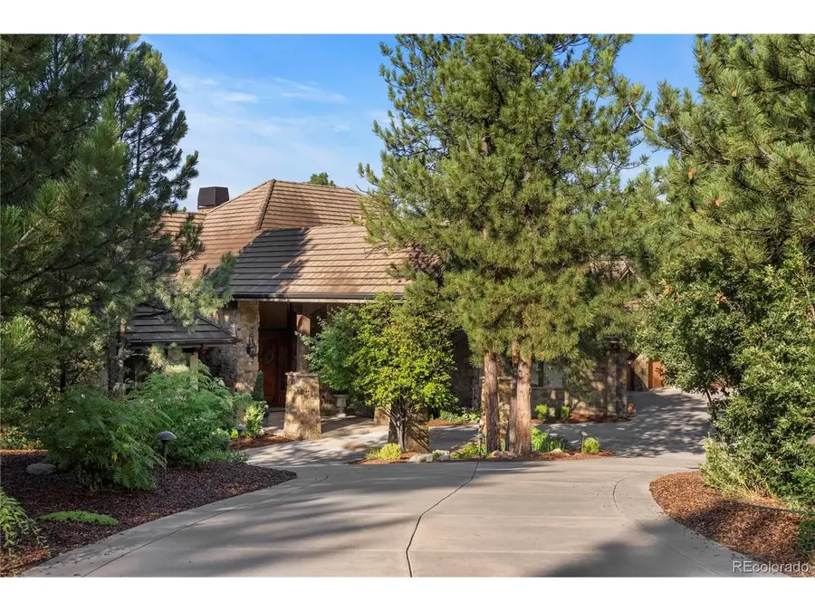 982 Preston Ct, Castle Rock, CO 80108 - #2