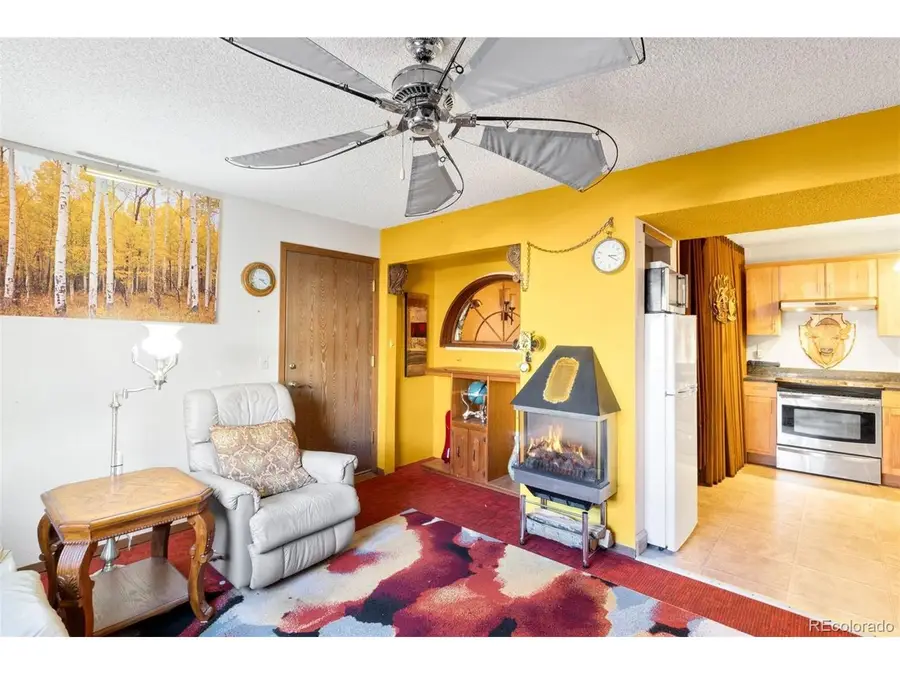 380 Paradise Cir #C1, Woodland Park, CO 80863 - Image #3