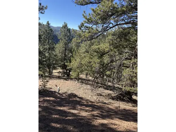1480 Pikes Peak Dr, Divide, CO 80814