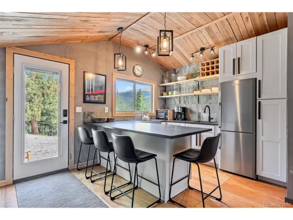 932 Peterson Dr, Alma, CO 80420