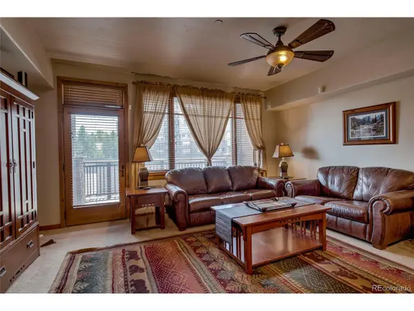1101 Divide Rd #206, Frisco, CO 80443
