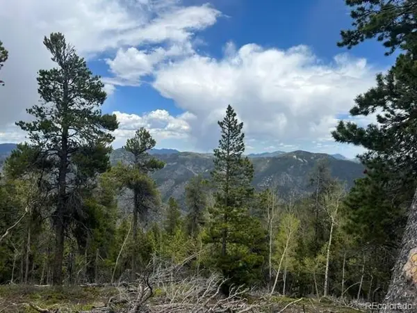 2 Sunny Skies Trl, Idaho Springs, CO 80452