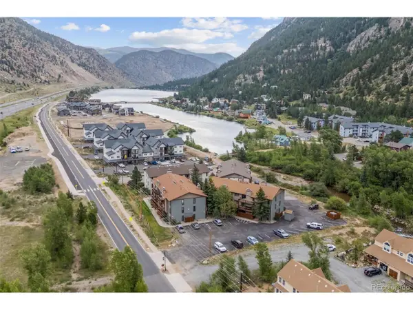 1890 Argentine St #D-D303, Georgetown, CO 80444