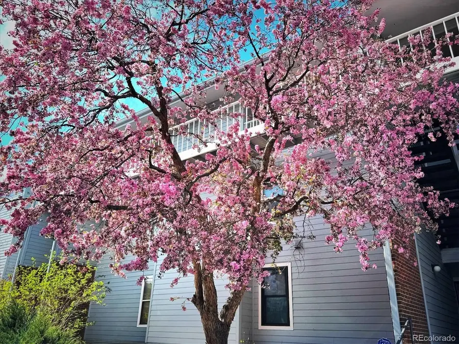 3121 S Tamarac Dr #208H, Denver, CO 80231 - #3