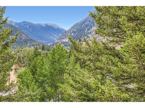 819 Valley View Dr, Georgetown, CO 80444