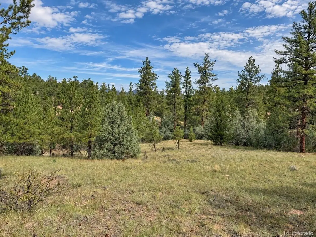 0 K Path, Cotopaxi, CO 81223 - #1