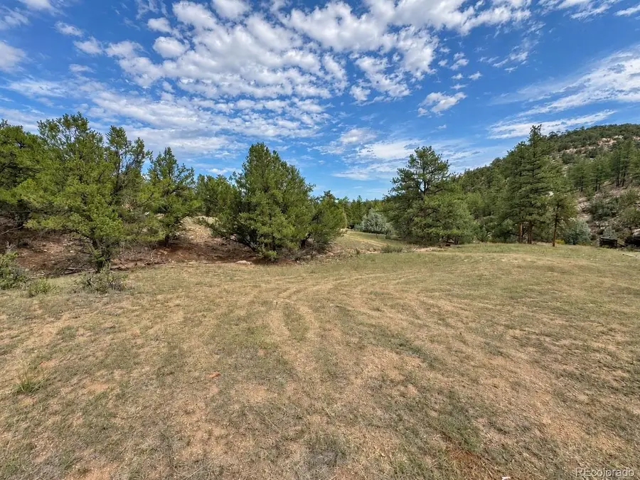 0 K Path, Cotopaxi, CO 81223 - #2