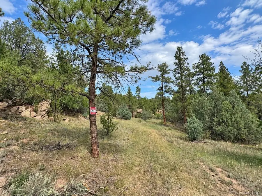 0 K Path, Cotopaxi, CO 81223 - #3