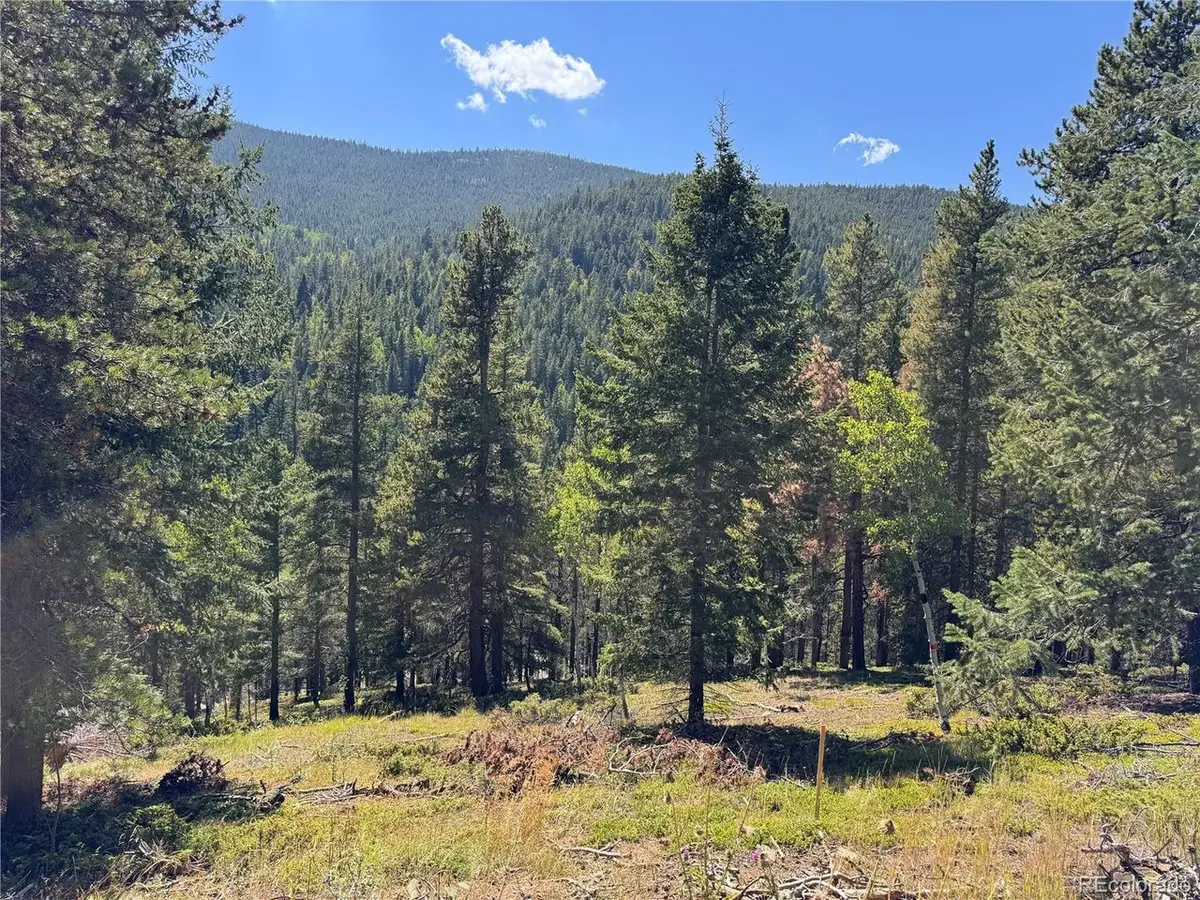 0 Blue Bell Ln, Idaho Springs, CO 80452 - #1