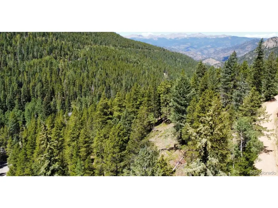 0 Blue Bell Ln, Idaho Springs, CO 80452 - #2