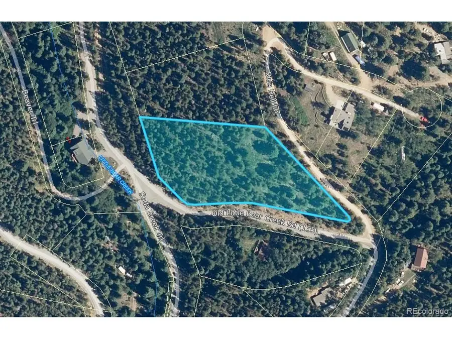 0 Blue Bell Ln, Idaho Springs, CO 80452 - #3