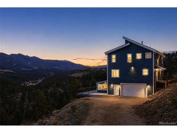 381 Saddle Ln, Bailey, CO 80421
