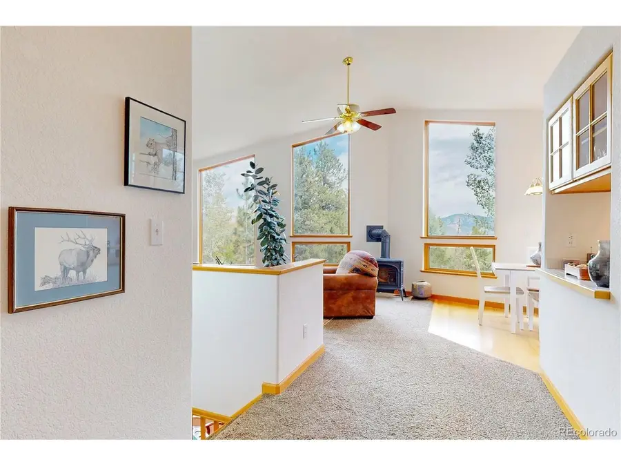 1360 Delwood Dr, Bailey, CO 80421 - #3