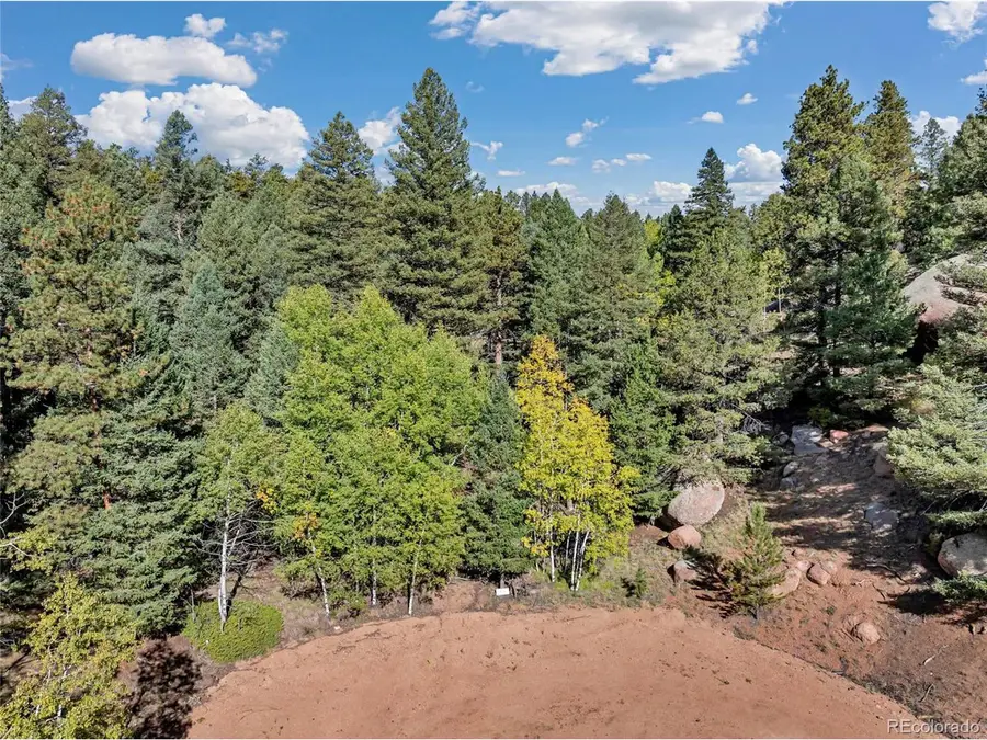 926 Pinon Ln, Florissant, CO 80816 - #2