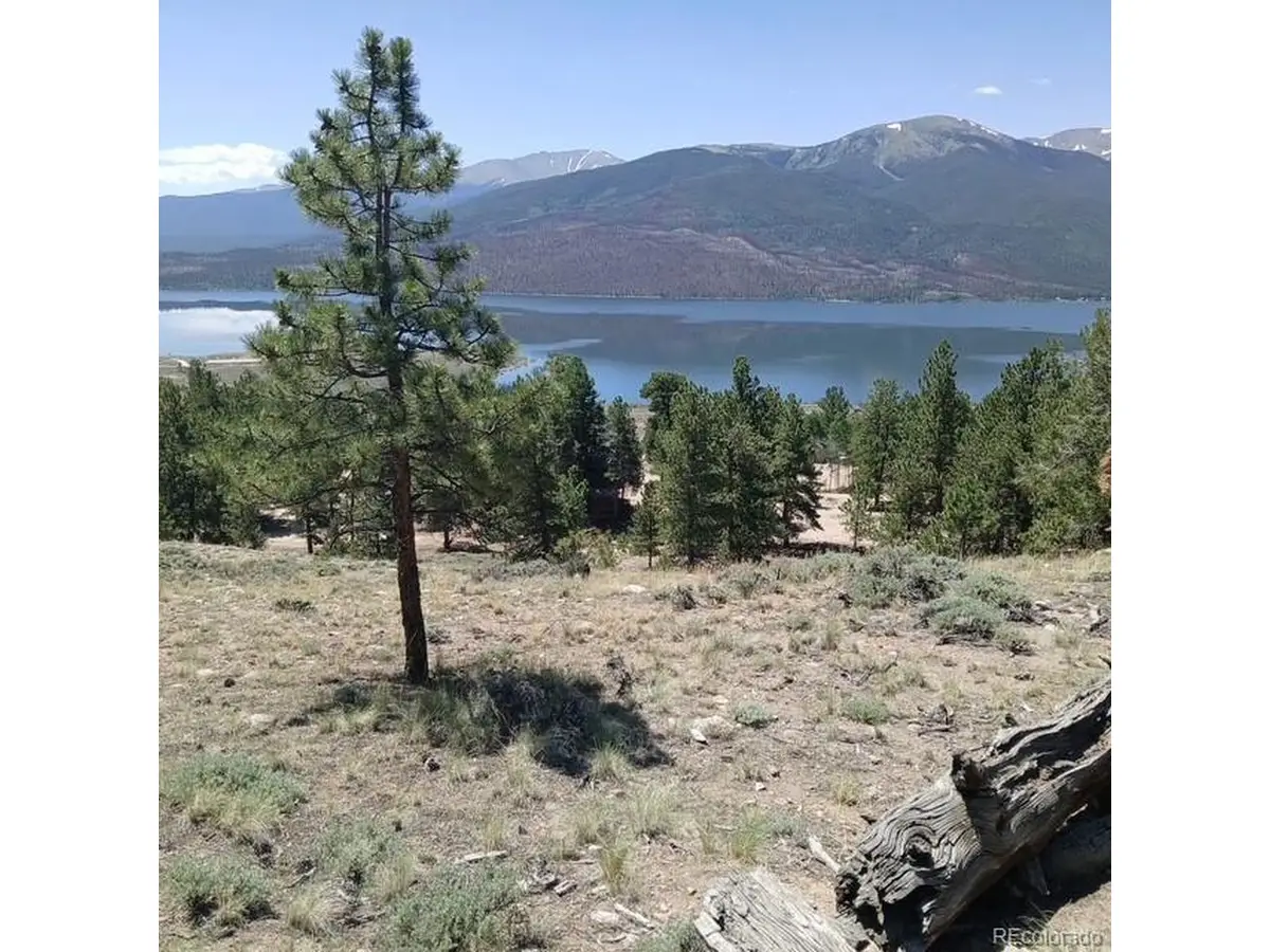 198 Parry Peak Dr, Twin Lakes, CO 81251 - #1