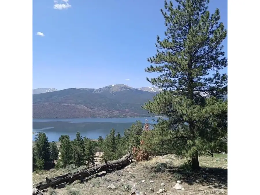 198 Parry Peak Dr, Twin Lakes, CO 81251 - #3
