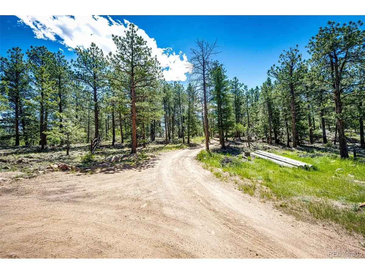 S Wandcrest Dr, Pine, CO 80470 - #1