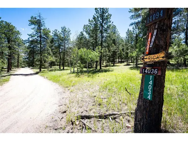S Wandcrest Dr, Pine, CO 80470