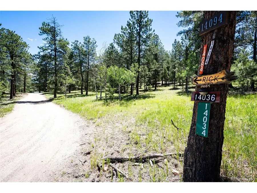 S Wandcrest Dr, Pine, CO 80470 - #2