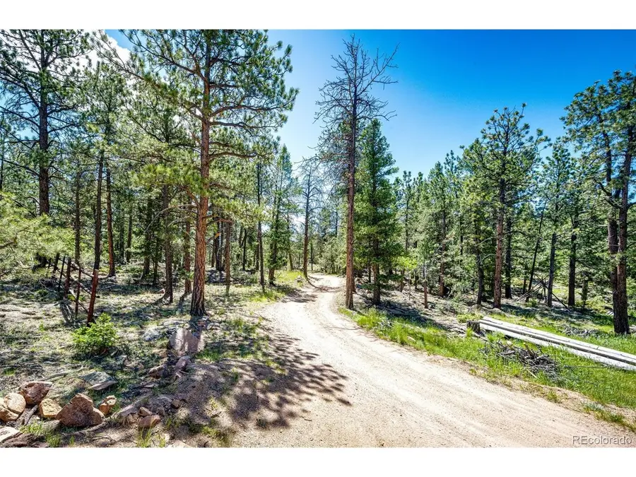 S Wandcrest Dr, Pine, CO 80470 - #3
