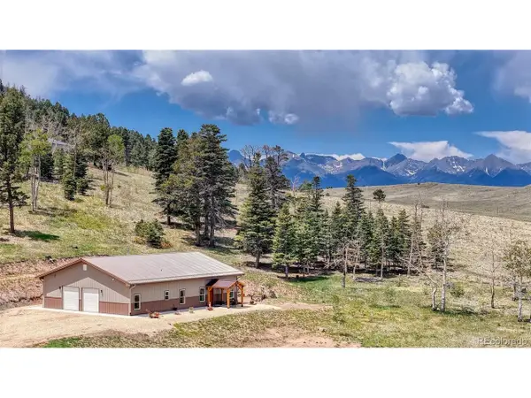 440 County Road 356, Westcliffe, CO 81252