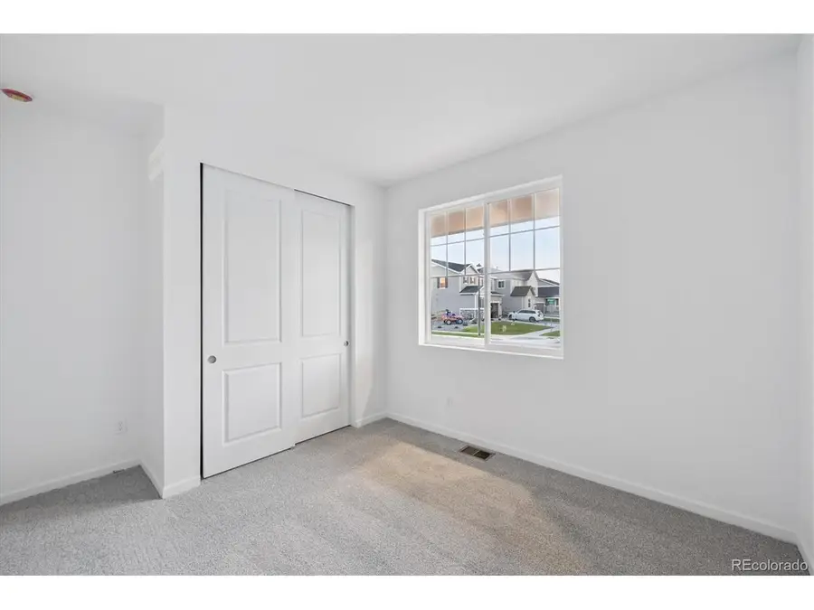 916 Steppe Ln, Windsor, CO 80550 - #3