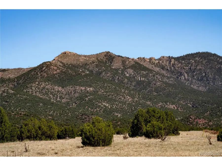 County Road 132, Penrose, CO 81240 - #3