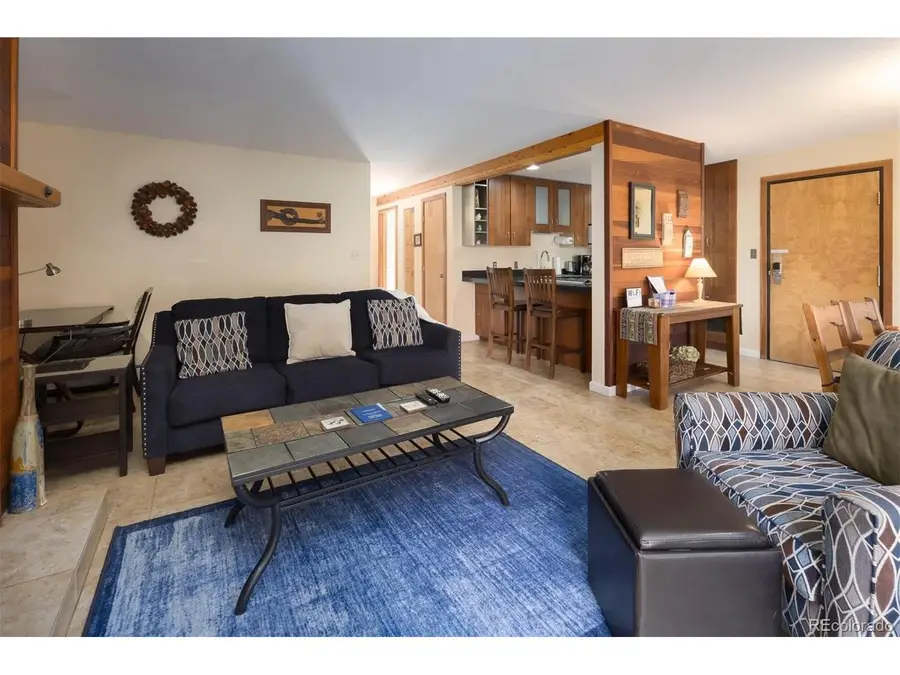 91100 Ryan Gulch Rd #91105, Silverthorne, CO 80498 - #3