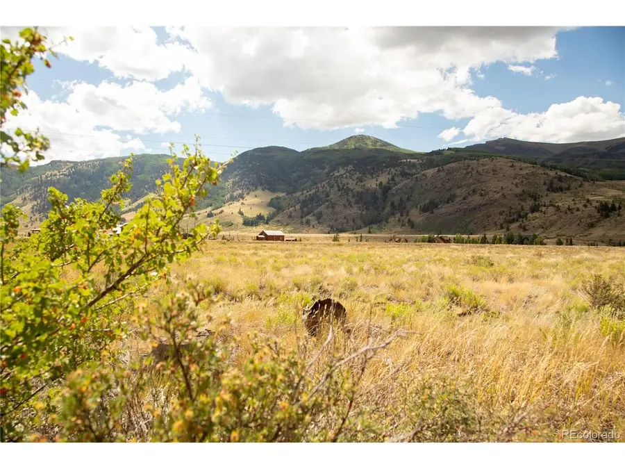 341 Spruce Dr, Creede, CO 81130 - #3