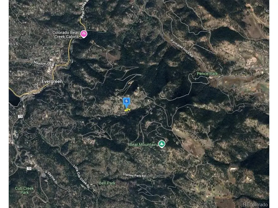 26135 Wild Flower Trl, Evergreen, CO 80439 - #3