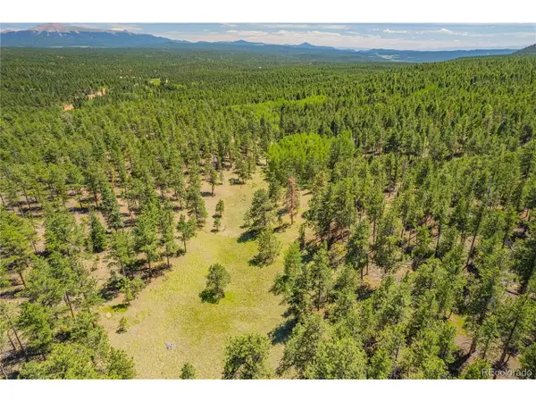 2 County Road 51, Florissant, CO 80816