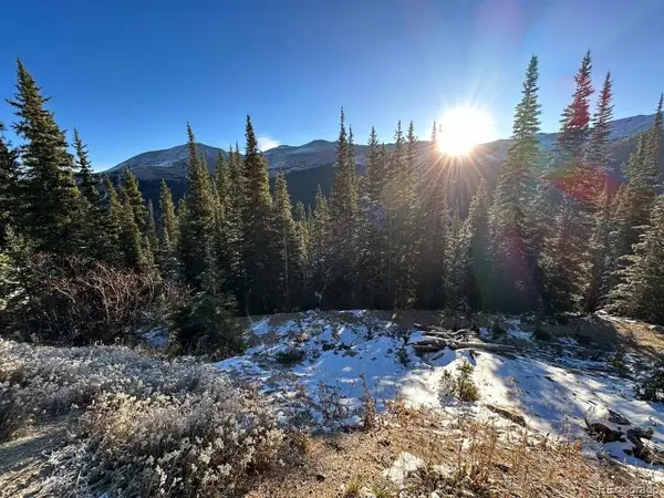 Address Withheld By Seller, Breckenridge, CO 80424