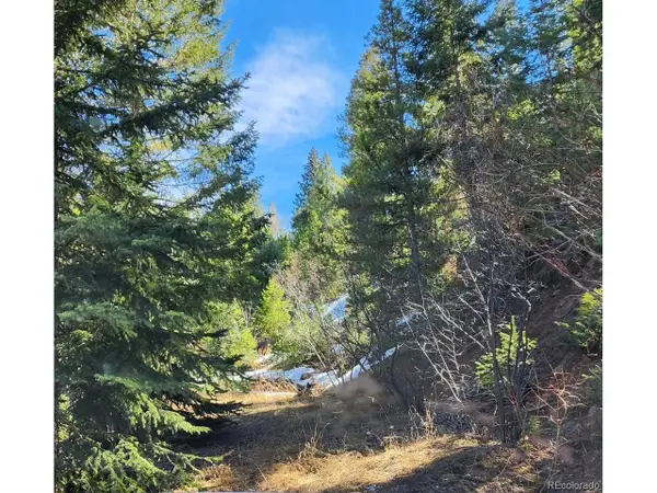 10151 Coronado Cir, Morrison, CO 80465