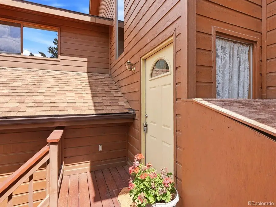 74 Badger Ln, Bailey, CO 80421 - #3