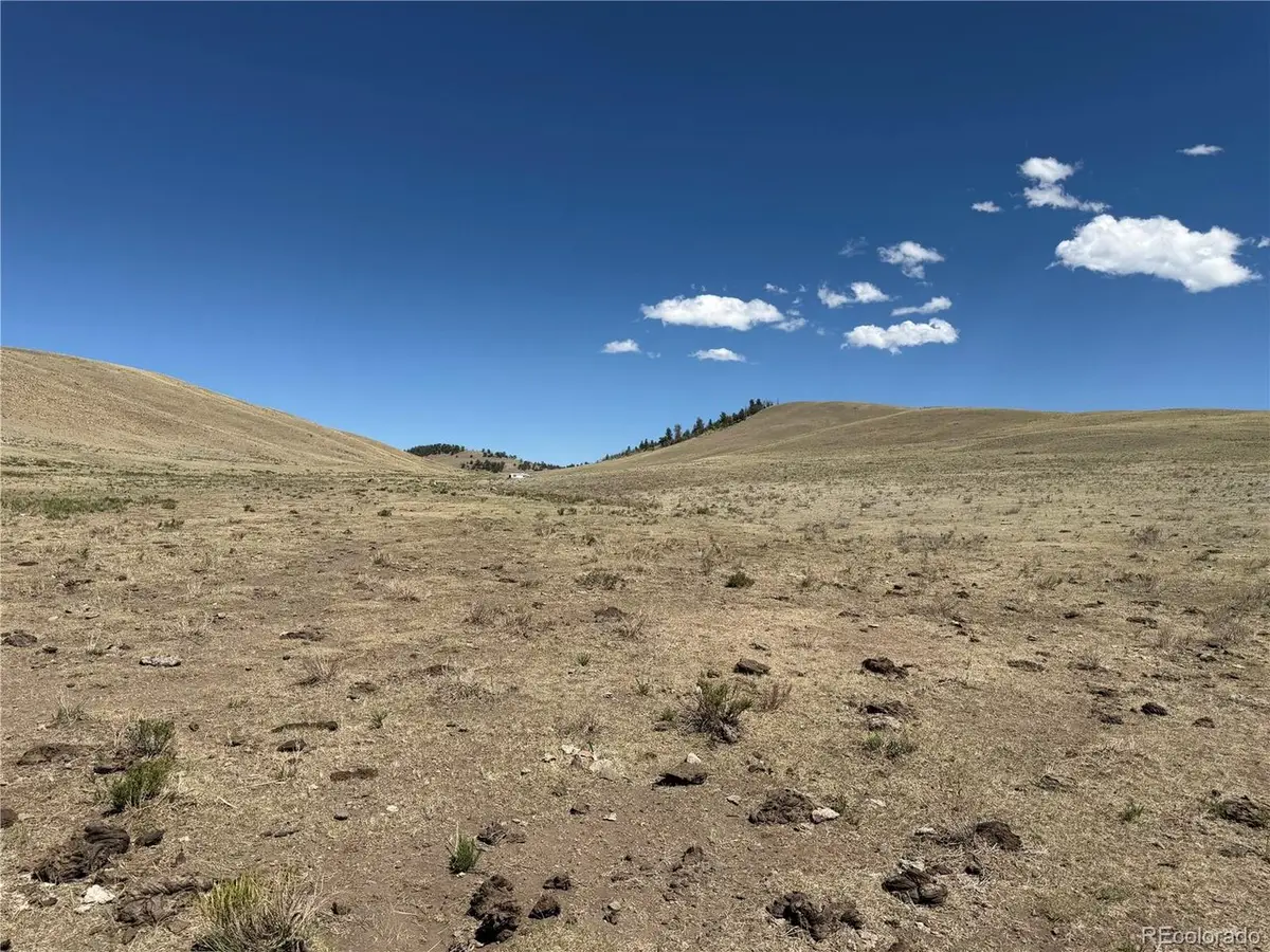 3216 Coweta Trl, Hartsel, CO 80449 - #1