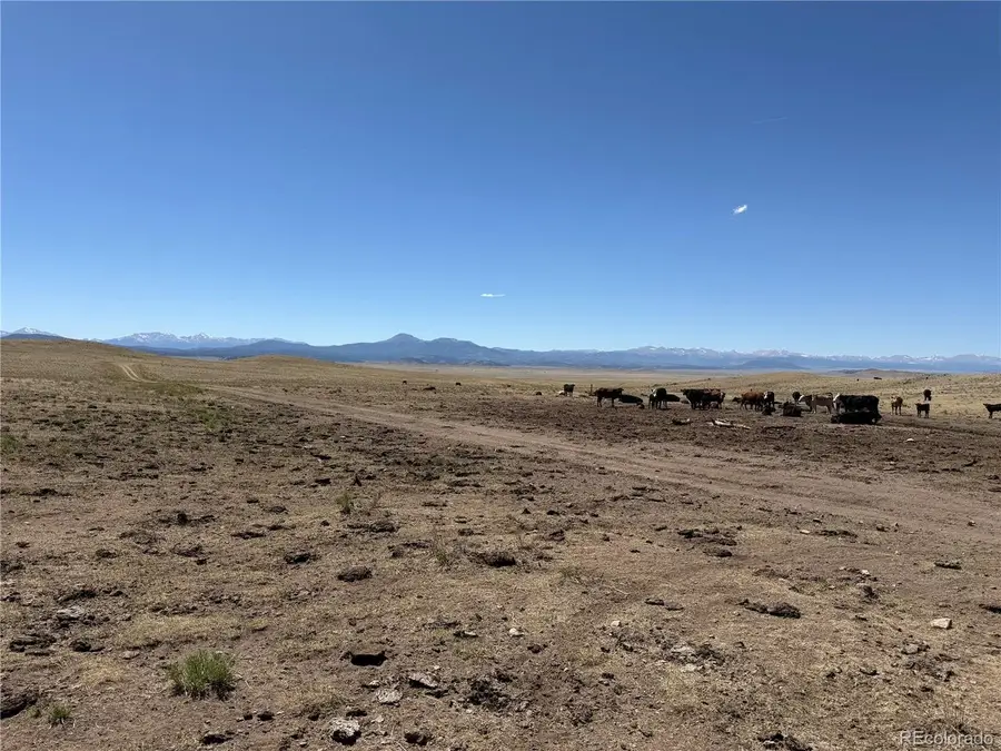3216 Coweta Trl, Hartsel, CO 80449 - #2