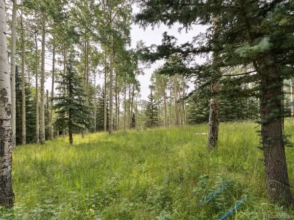 0 Snyder Mountain Rd, Evergreen, CO 80439
