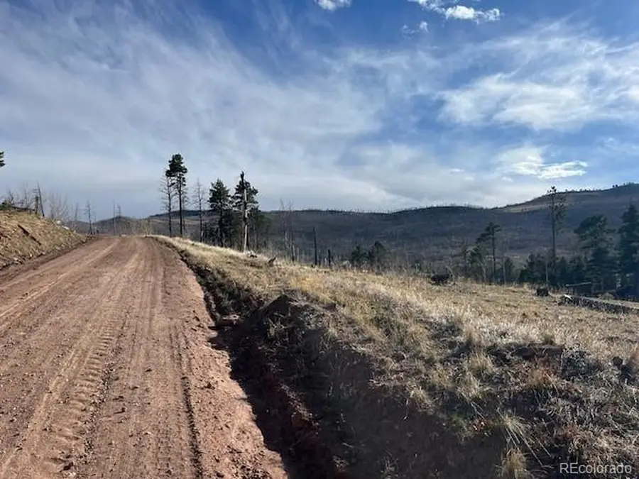 1020 Hassan Ln, Fort Garland, CO 81133 - #2