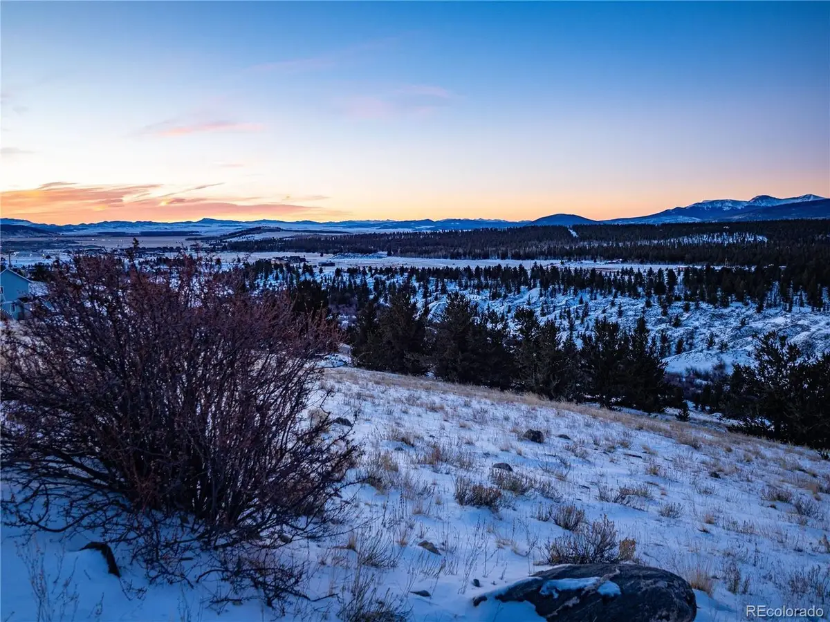 39 Platte View Dr, Fairplay, CO 80440 - #1