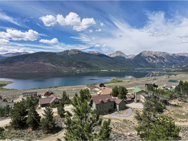 350 La Plata Peak Dr, Twin Lakes, CO 81251