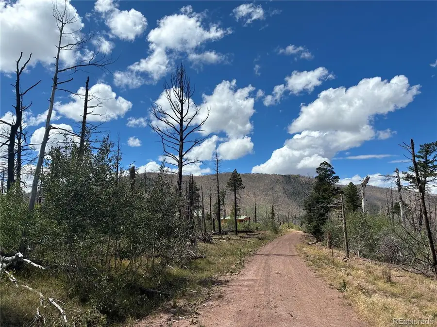 2257 Port Loop, Fort Garland, CO 81133 - #2