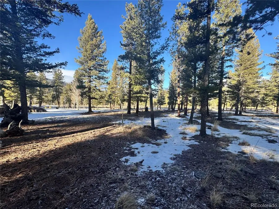 30470 Harvard Cir, Buena Vista, CO 81211 - Image #2