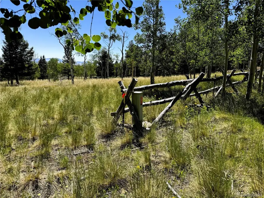 110 Kaufman Ct, Hartsel, CO 80449 - #2