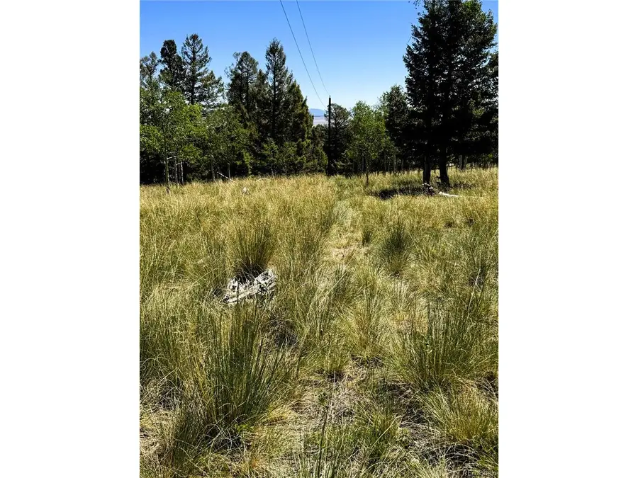 110 Kaufman Ct, Hartsel, CO 80449 - #3