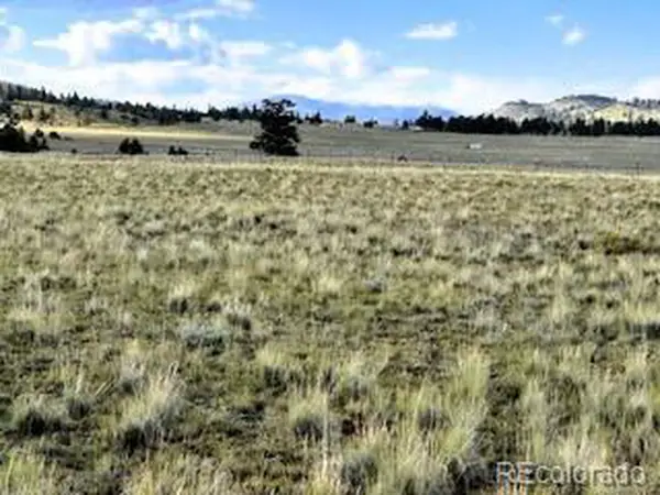 599 Summit Rd, Hartsel, CO 80449