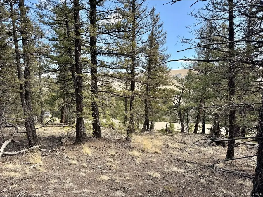 2601 Redhill Rd, Fairplay, CO 80440 - #2